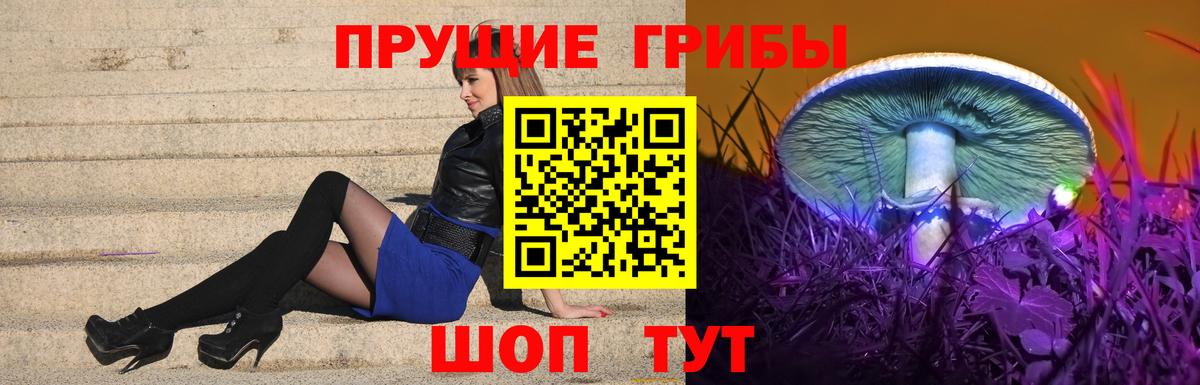 Дзержинский  Псилоцибиновые грибы Magic Shrooms  Вход с VPN  купить наркотики цена  Псилоцибиновые грибы мицелий 